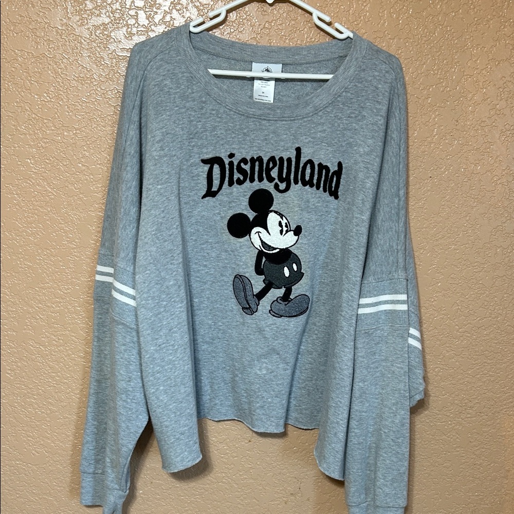 Disney Gray Sweatshirt
